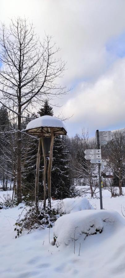 Ferienwohnung "Hirschlein" Im Schwarzwald Baiersbronn Exterior foto