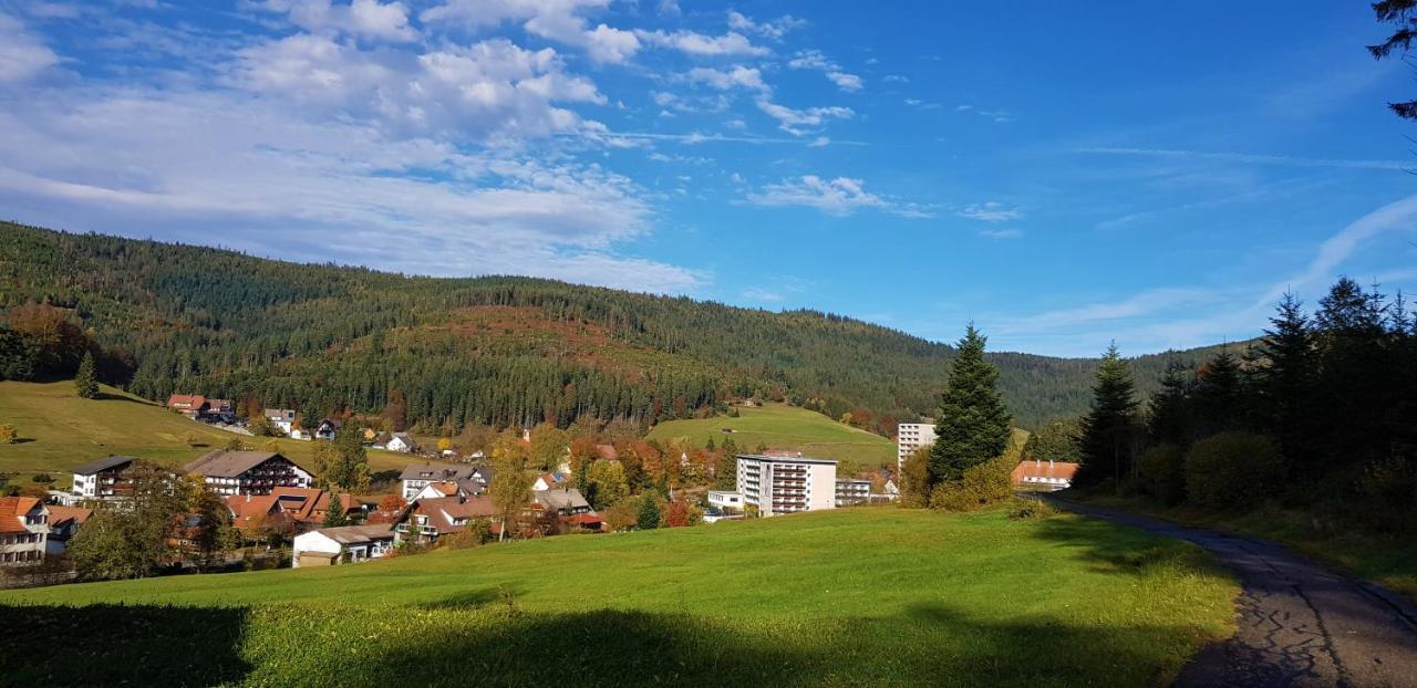 Ferienwohnung "Hirschlein" Im Schwarzwald Baiersbronn Exterior foto