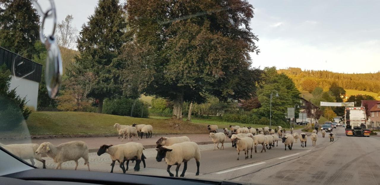 Ferienwohnung "Hirschlein" Im Schwarzwald Baiersbronn Exterior foto